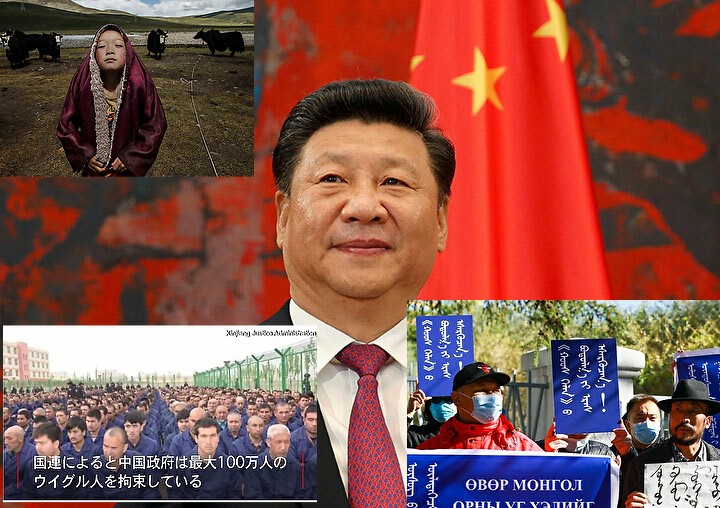 チベット ウイグル チベット人・ウイグル人・他被拘留者への強制的な「臓器摘出」について、国連調査団が中国に呼びかけ