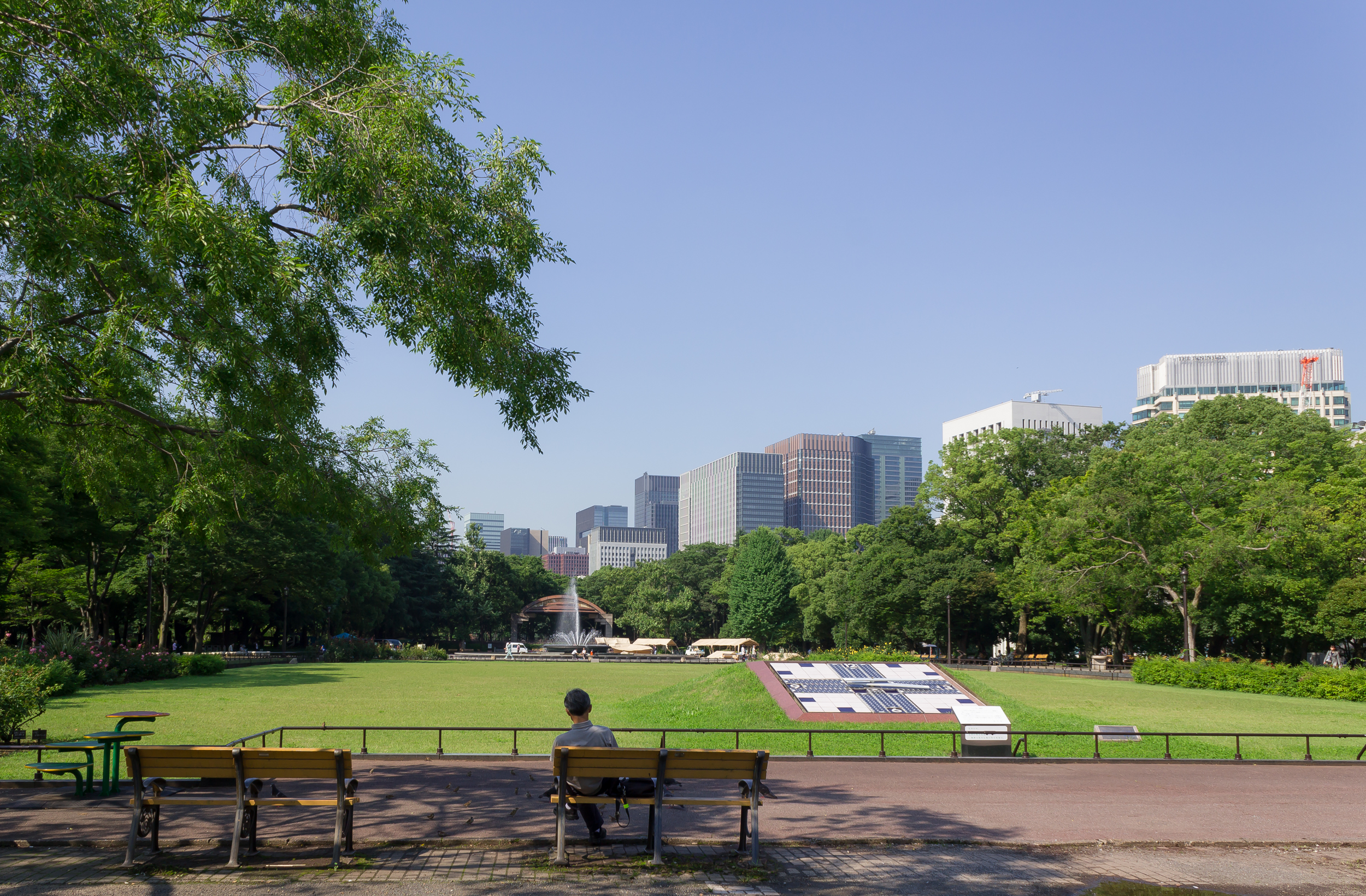 東京都の樹木伐採！ ネット「葛西臨海公園だけでなく日比谷公園もなの？」「日比谷公園は素敵な樹木が沢山ありますので、とても心配ですね」 | 政治知新